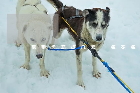信用卡忘还几天 会不会逾期 信用卡忘还几天 会不会逾期